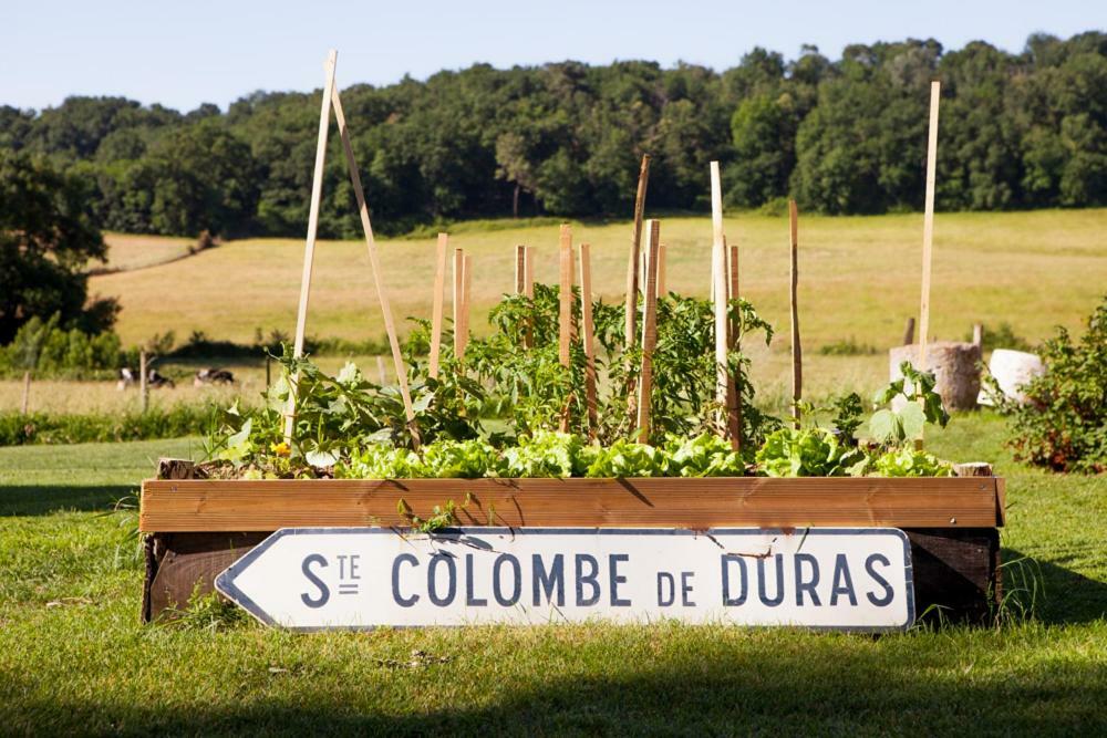 Le Vallon De Guerry Sainte-Colombe-de-Duras Kültér fotó